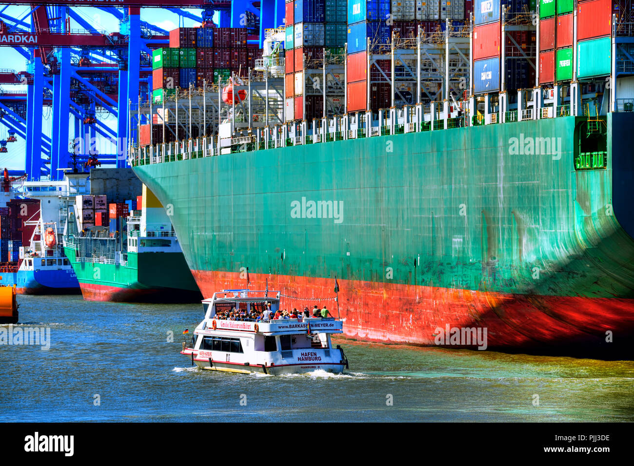 Passagierschiff neben Containerfrachter im Waltershofer Hafen in Hamburg, Deutschland, Europa, Fahrgastschiff neben Containerfrachter im Waltersho Stockfoto