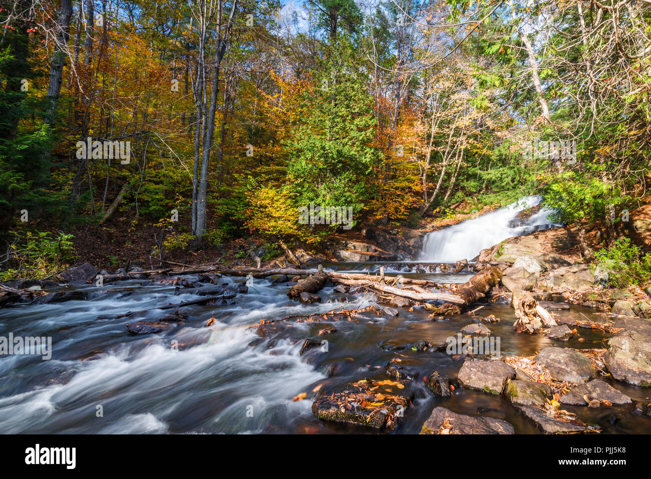 An der Fischzuchtanstalt fällt in Huntsville, Ontario, Kanada, von Wald umgeben, das Wasser stürzt auf die Wasserfälle und Kaskaden über die Felsen und Lo Stockfoto