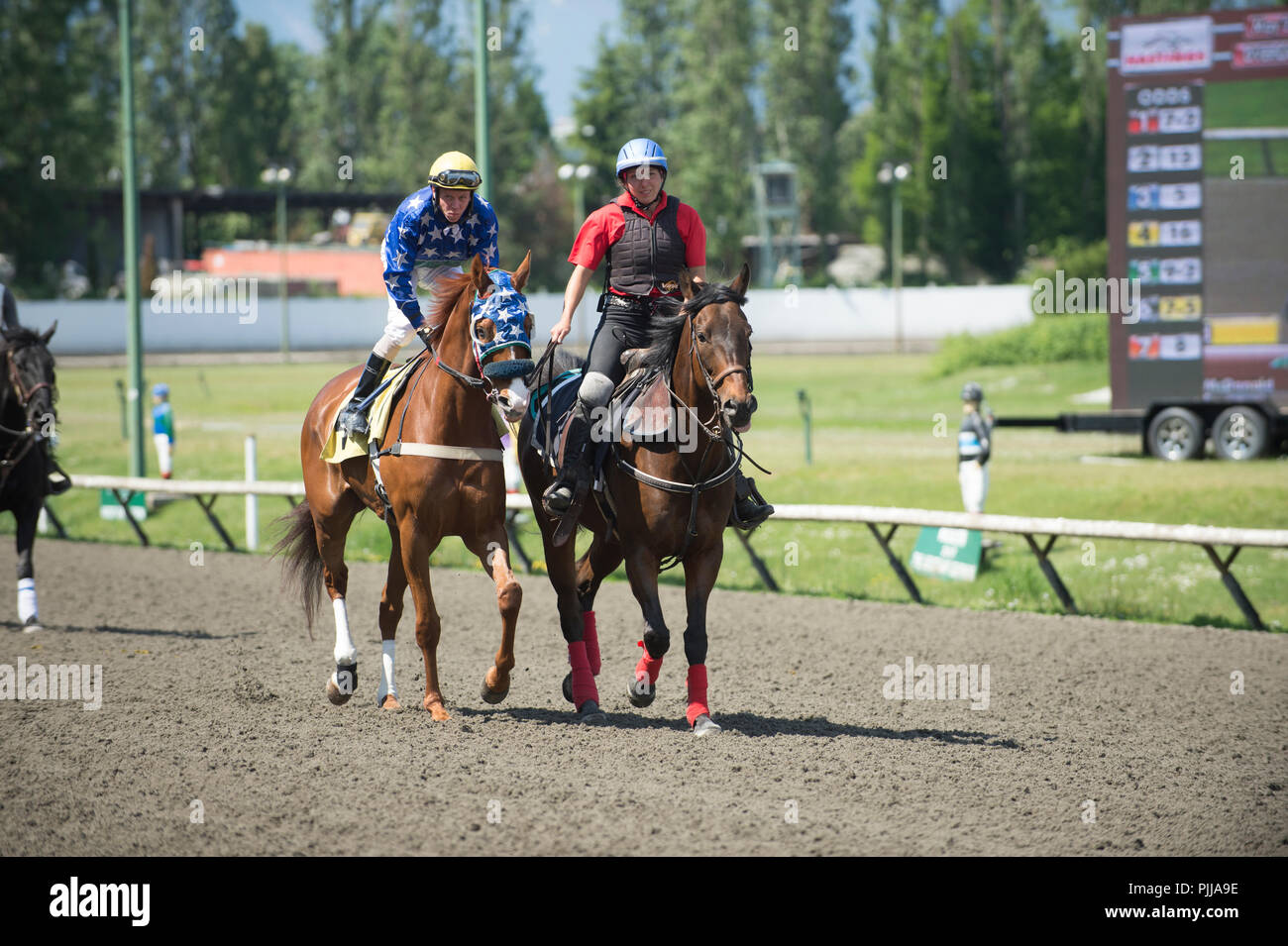 Begleiter Pony neben den Jockey und seine Rasse Pferd, Minuten vor dem Rennen. Hastings Park Vancouver City. Stockfoto