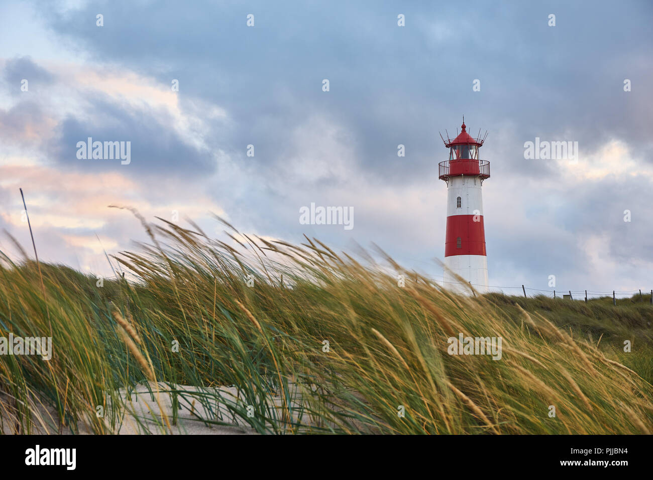 Leuchtturm List-Ost auf der Insel Sylt, Deutschland Stockfoto