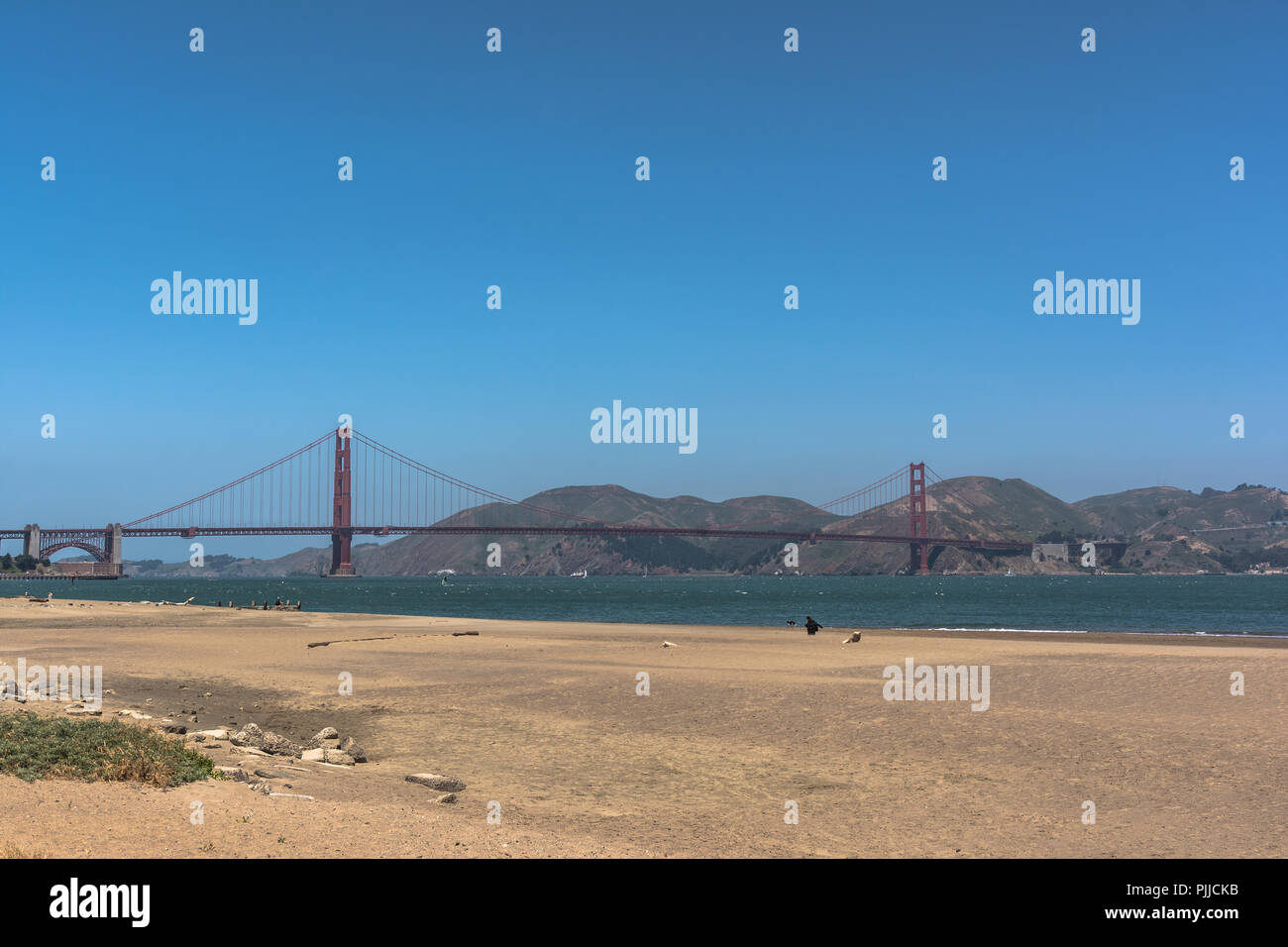 Blick auf die Golden Gate Bridge von Crissy Field, San Francisco, Kalifornien Stockfoto