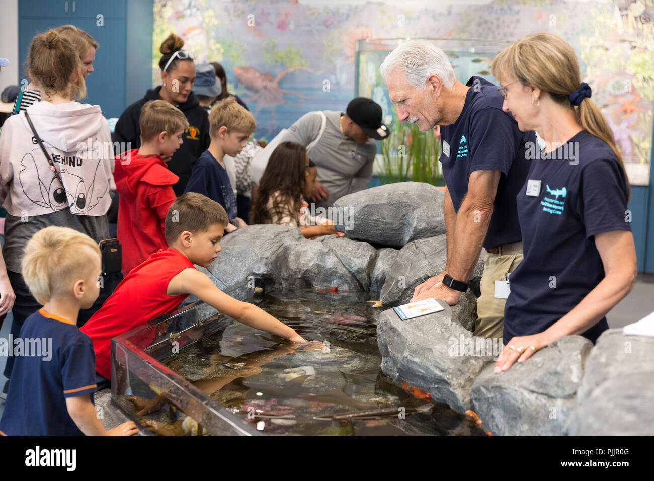Washington, USA. 7. September 2018. Freiwillige Chris (l) Phyllis (r) mit den Besuchern in der Gezeiten- Touch Zone während der Eröffnung des Pazifischen Meeres Aquarium am Point Defiance Zoo and Aquarium. Das Aquarium eröffnet am 7. September, der anstelle des früheren North Pacific Meere Aquarium als Teil eines $ 65 Millionen Investitionen in den Park. Credit: Paul Christian Gordon/Alamy leben Nachrichten Stockfoto