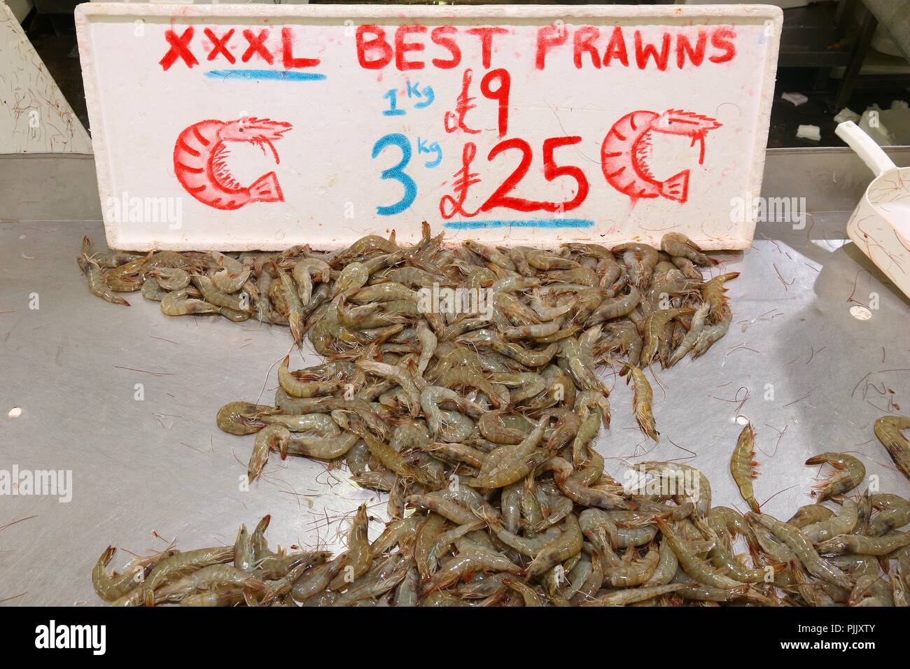 Sea Food auf Billingsgate Fish Market in Pappel, London, UK. Beste Garnelen. Stockfoto