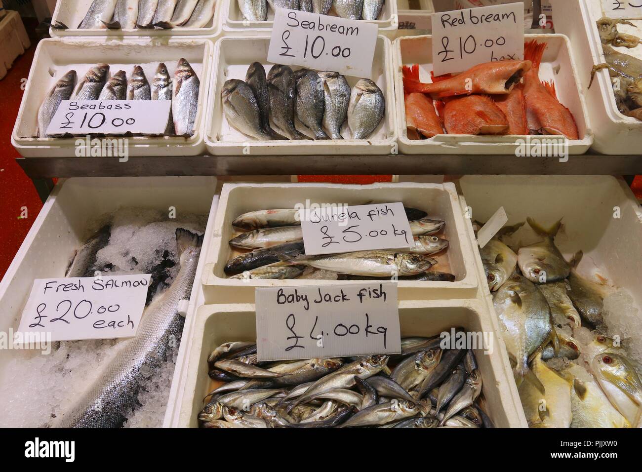 Sea Food auf Billingsgate Fish Market in Pappel, London, UK. Stockfoto