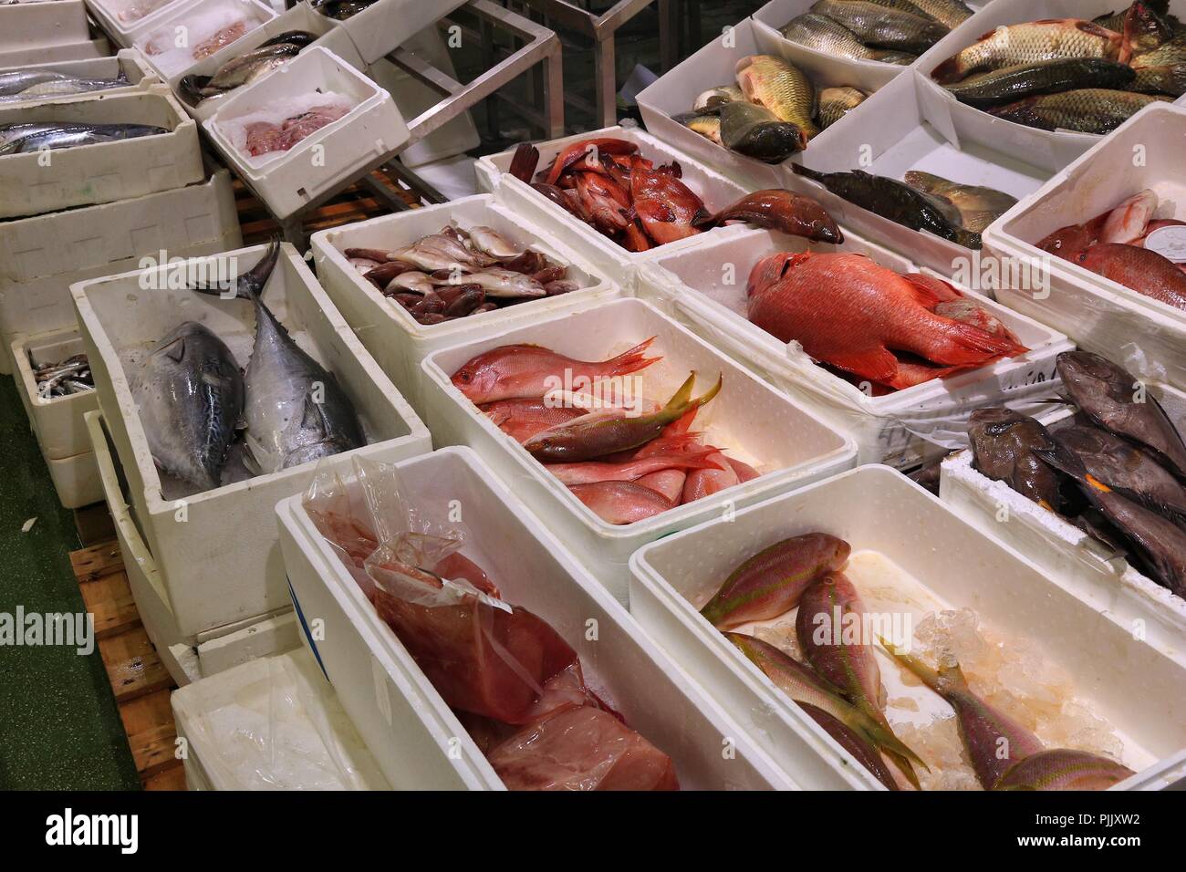 Sea Food auf Billingsgate Fish Market in Pappel, London, UK. Stockfoto