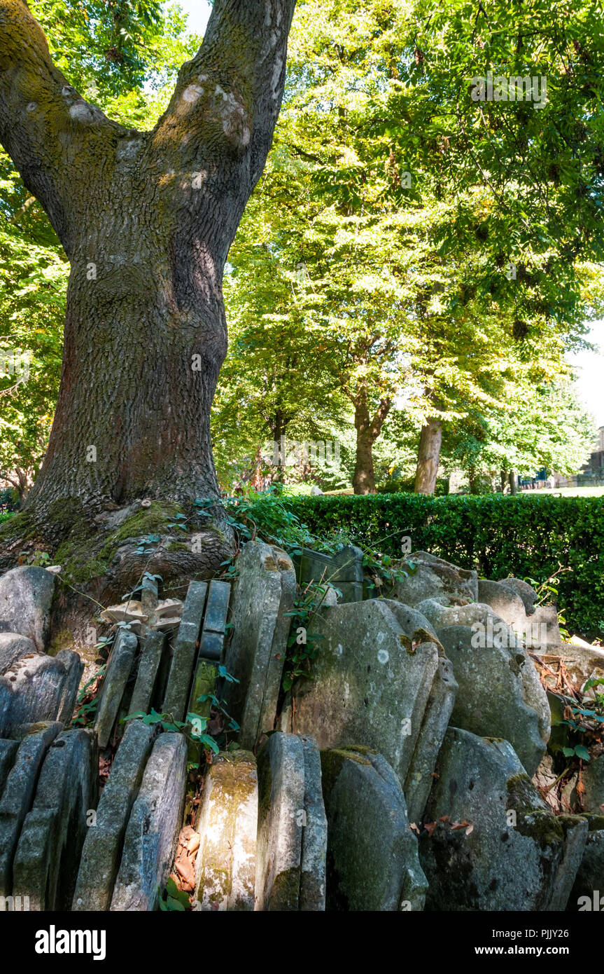Die Hardy Baum im Alten St Pancras Grabstätte. Grabsteine von Thomas Hardy, wenn ein Gutachter im neunzehnten Jahrhundert bewegt. Stockfoto