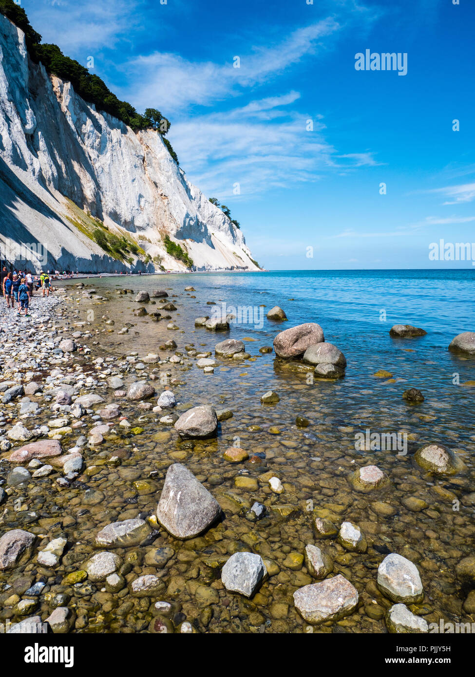 Møns Klint, der berühmten Kreidefelsen, Insel von Mons, Dänemark, Europa. Stockfoto