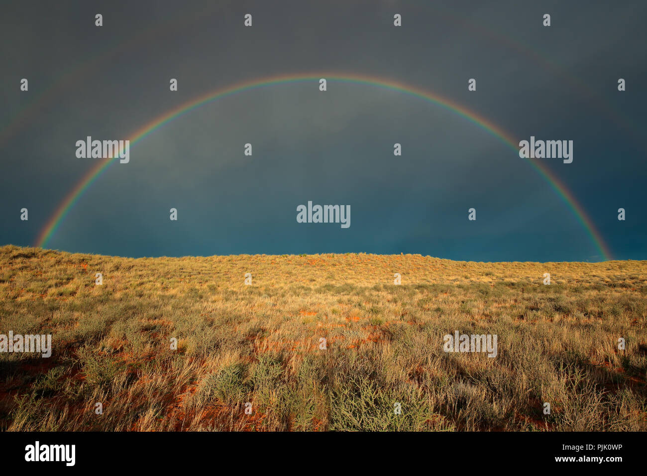 Landschaft mit einem bunten Regenbogen in Gewitterhimmel, Kalahari-Wüste, Südafrika Stockfoto