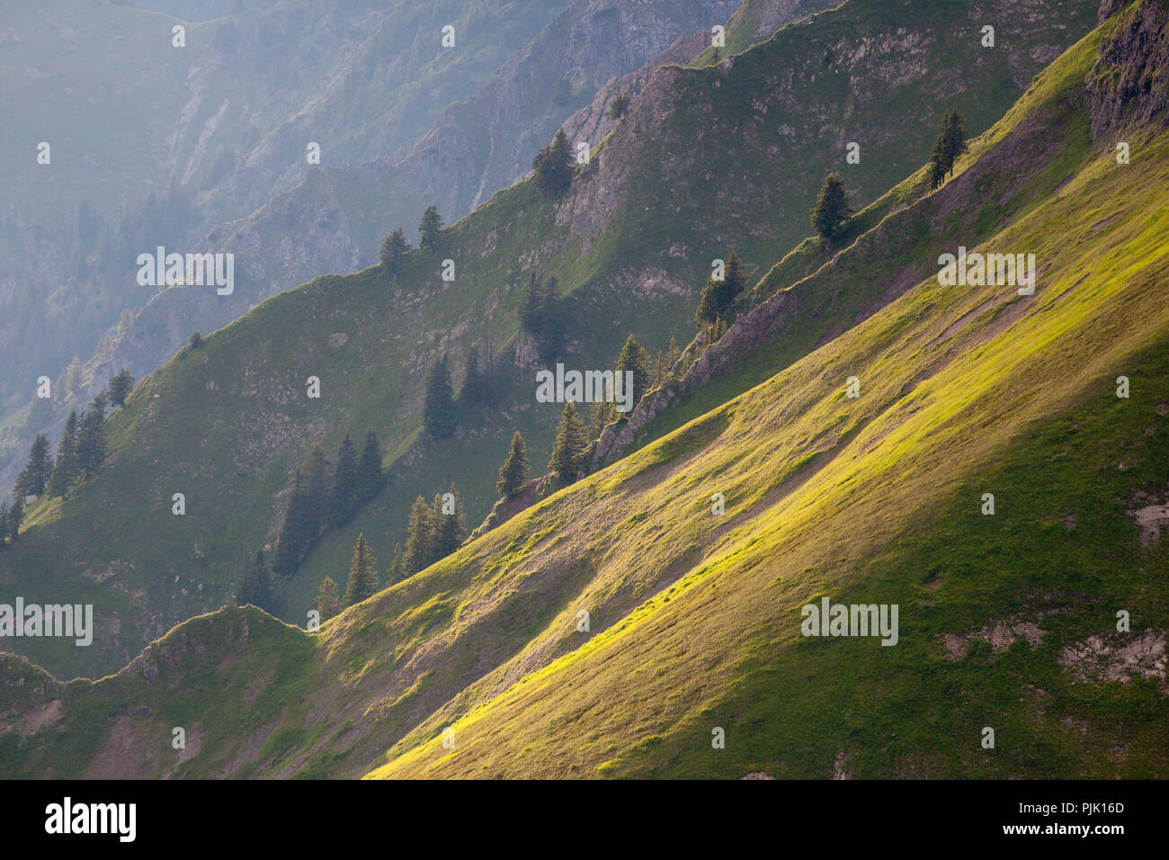 Südhänge an der Höfats im Abendlicht, in der Nähe von Oberstorf gegen, Allgäuer Alpen, Bayern, Deutschland Stockfoto