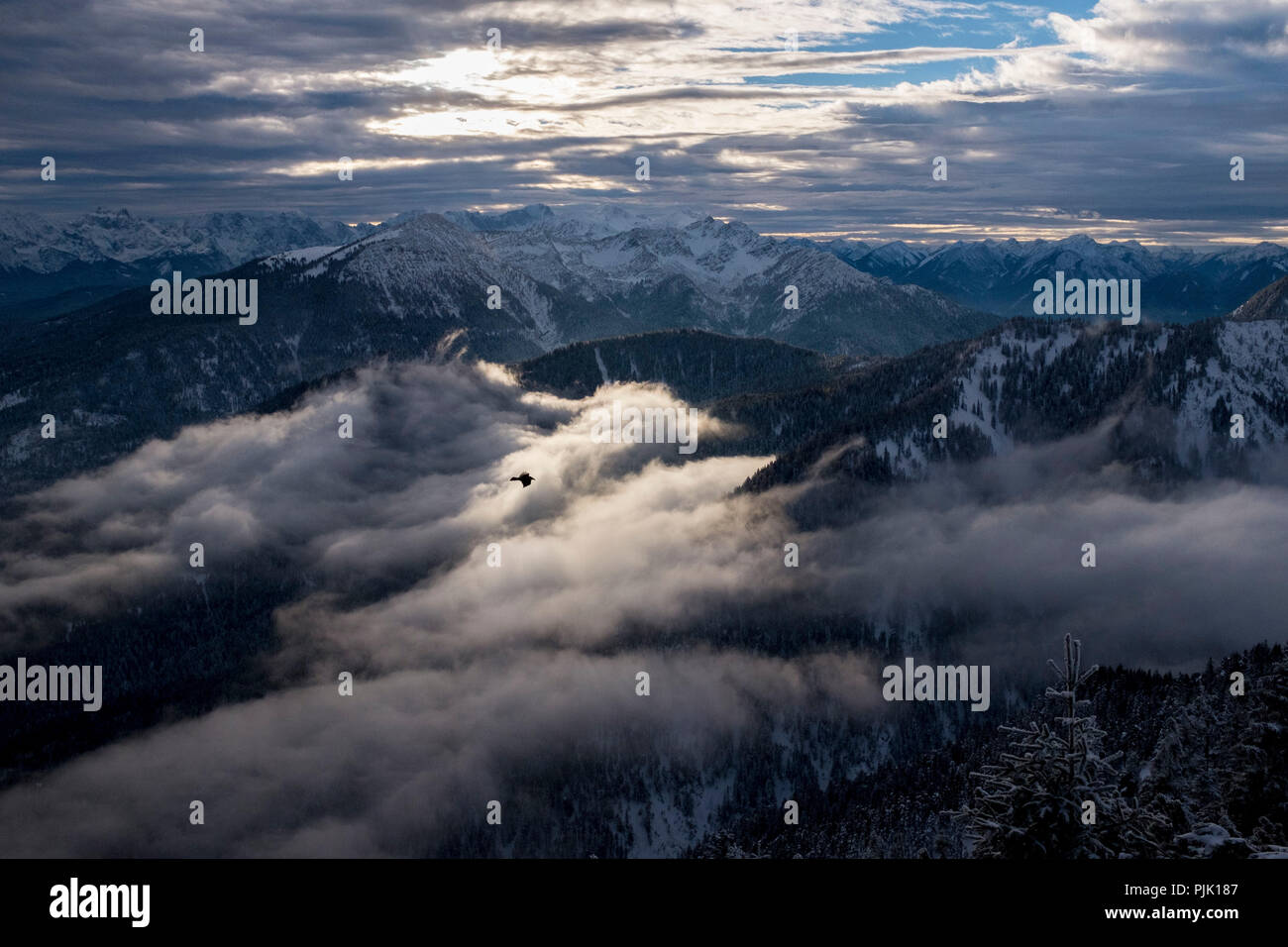 Winter am Abend auf dem Fahrenberg, Herzogstand, mit Blick auf das Estergebirge, Bayerische Alpen, Oberbayern, Bayern, Deutschland Stockfoto