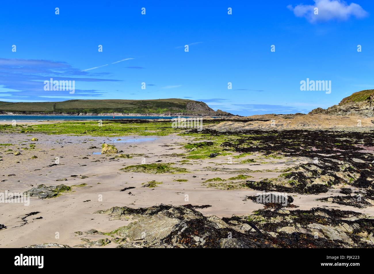 Daymer Bay Strand bei Ebbe. Stockfoto