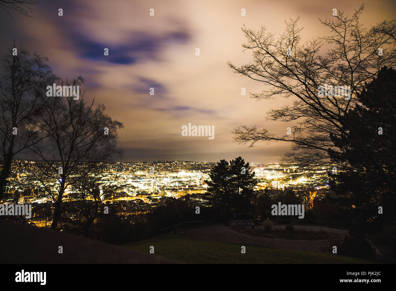 Deutschland, Baden-Württemberg, Stuttgarter Kessel, Übersicht bei Nacht, Langzeitbelichtung, Bäume im Vordergrund, glatte Wolken Stockfoto