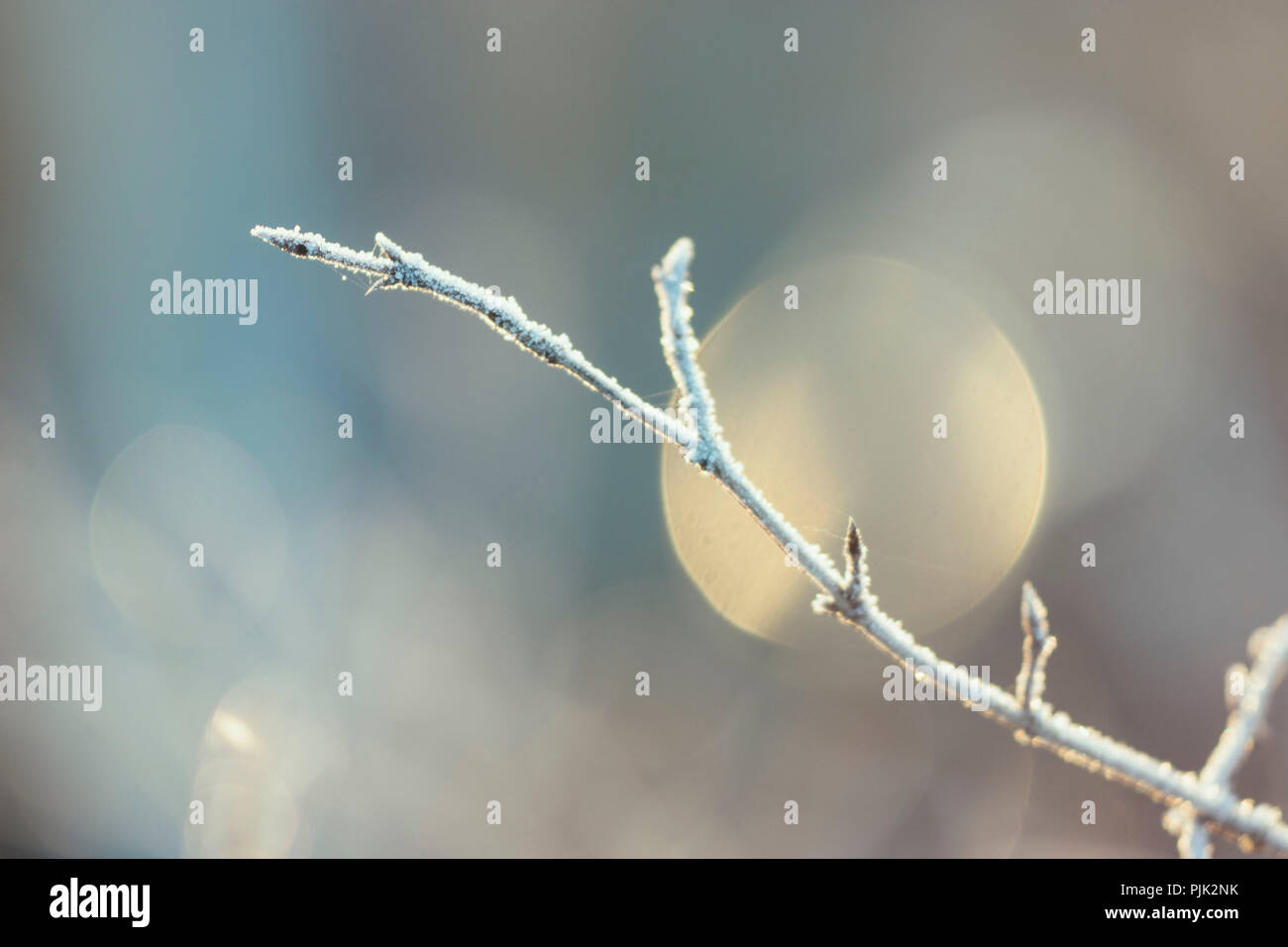 Winterlandschaft mit Eis, Frost und Sonne im Dezember, Stockfoto