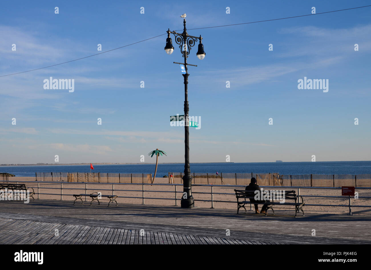 Ein Mann sitzt auf einer Parkbank am Strand mit künstliche Palme in Coney Island, Brooklyn, New York City, USA Stockfoto