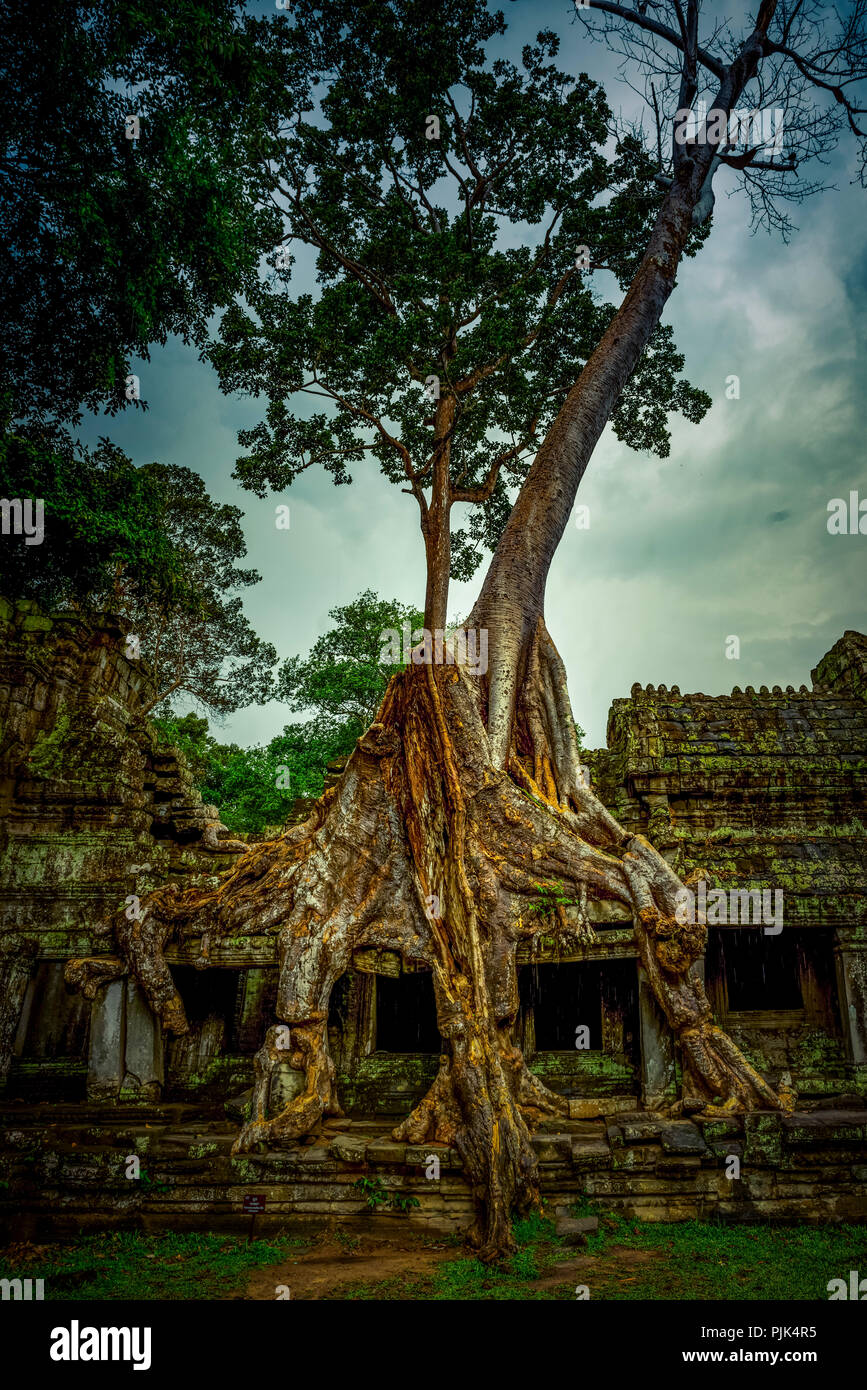 Asien, Kambodscha, Angkor Wat, Preah Khan Stockfoto