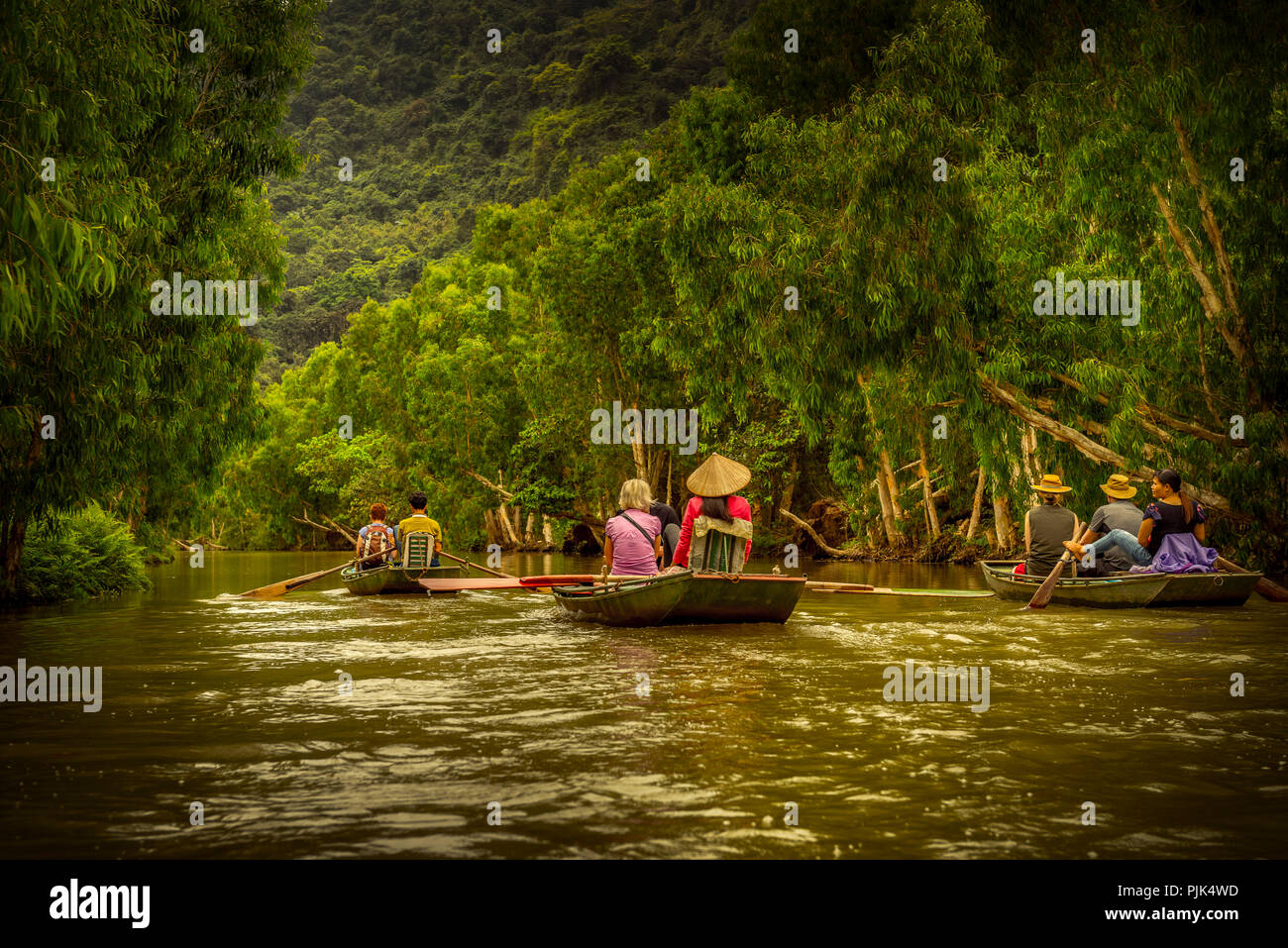 Asien, Vietnam, Ninh Binh Provinz, Halong Bucht, trockene, trockene Halong Bucht, Boot, Boot Tour Stockfoto