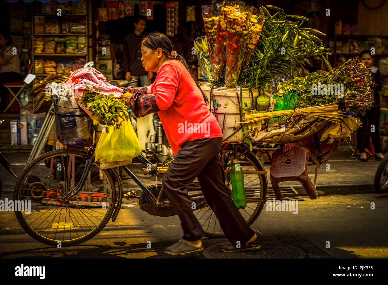 Asien, Vietnam, Hanoi, Transport, Transport, Transportmittel Stockfoto