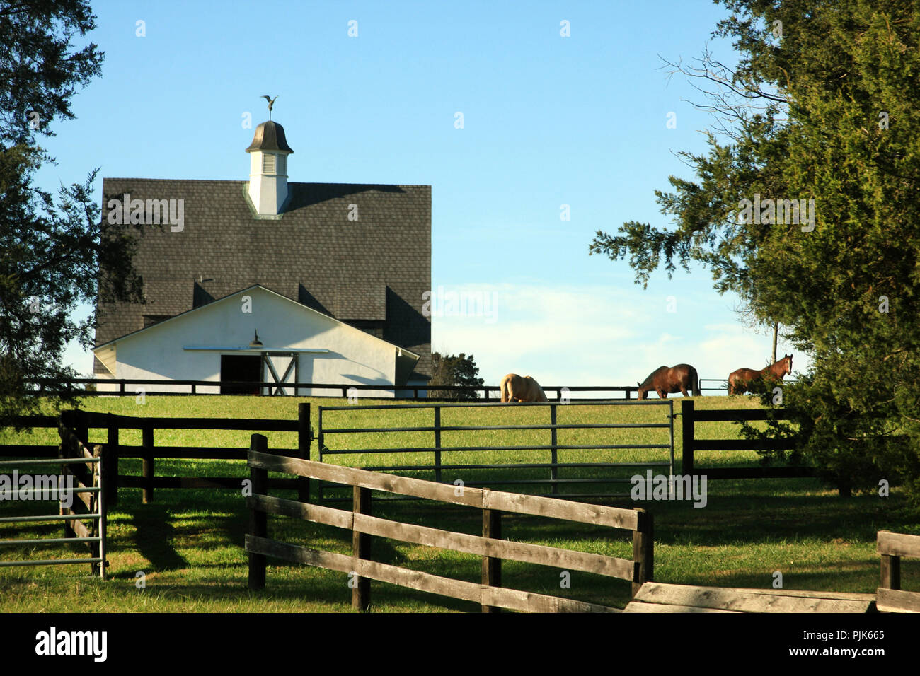 Fancy horse farm in Virginia Stockfoto
