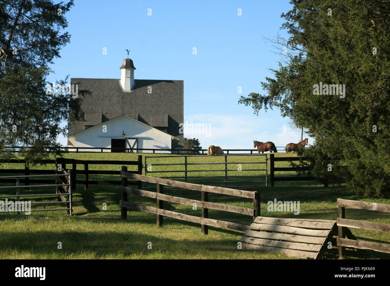 Ausgefallene Pferdefarm in Virginia, USA Stockfoto