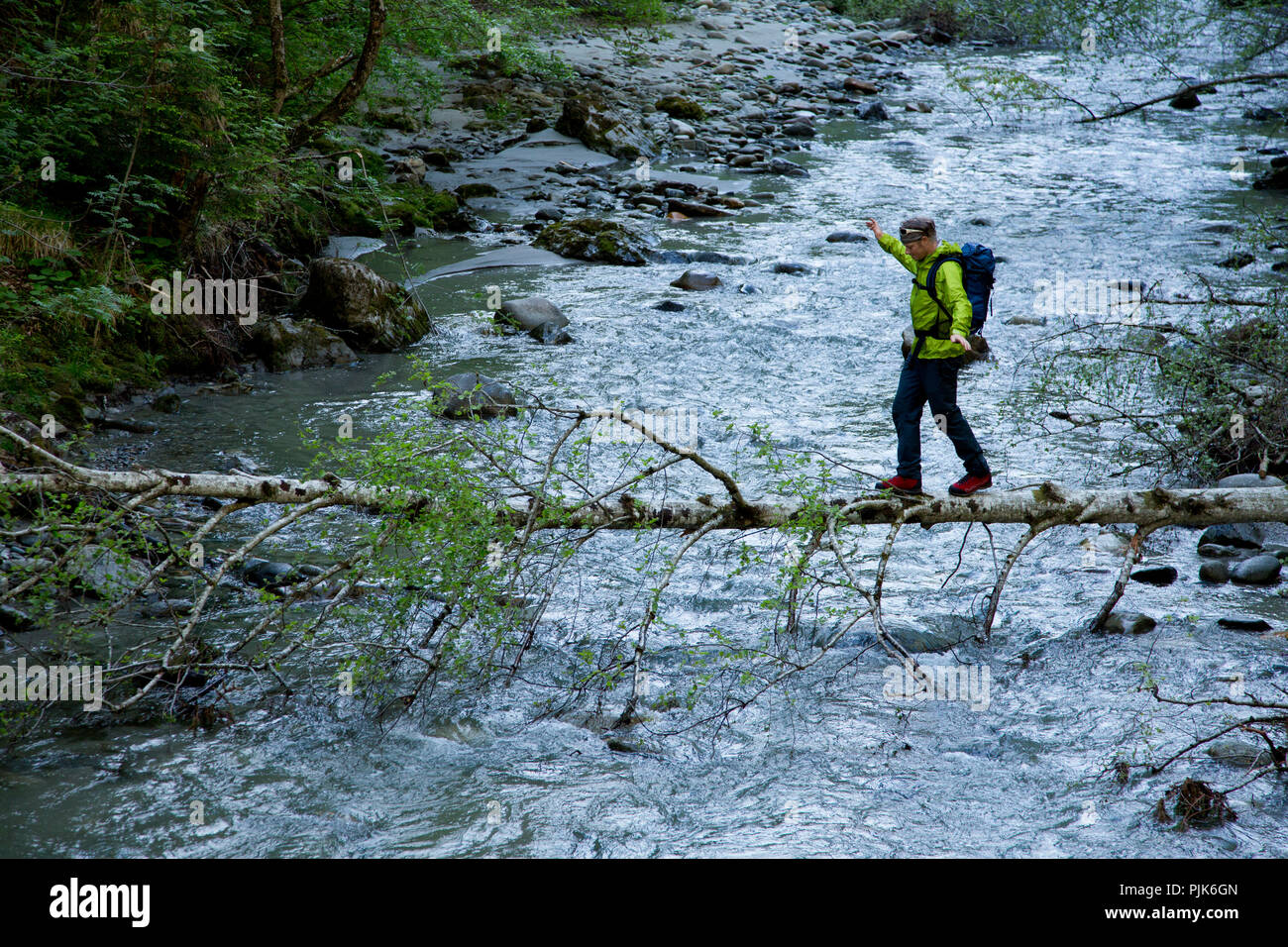 Baumstamm als Brücke über den Bach, Luis-Trenker-Steig in der Nähe von Arzl im Pitztal, Pitztal, Tirol, Österreich. Stockfoto