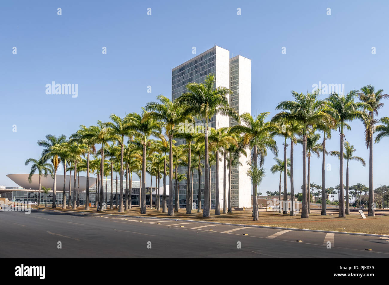 Palmen und der Rückseite des Brasilianischen Nationalkongresses - Brasilia, Distrito Federal, Brasilien Stockfoto