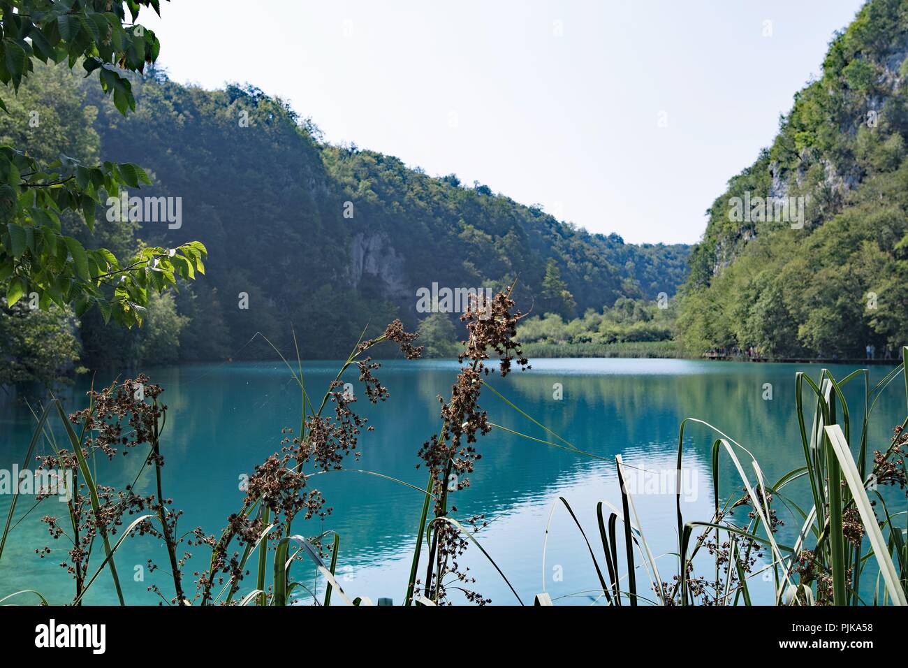 Nationalpark Plitvicer Seen in Kroatien populärste Sehenswürdigkeit und Ort der natürlichen geschützten Schönheit. Stockfoto