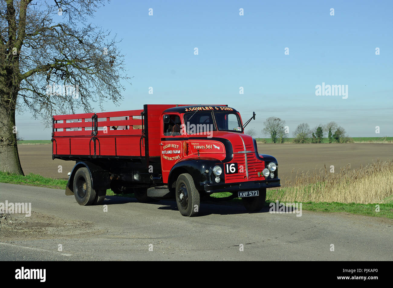 1951 Leyland Comet Lkw Stockfoto