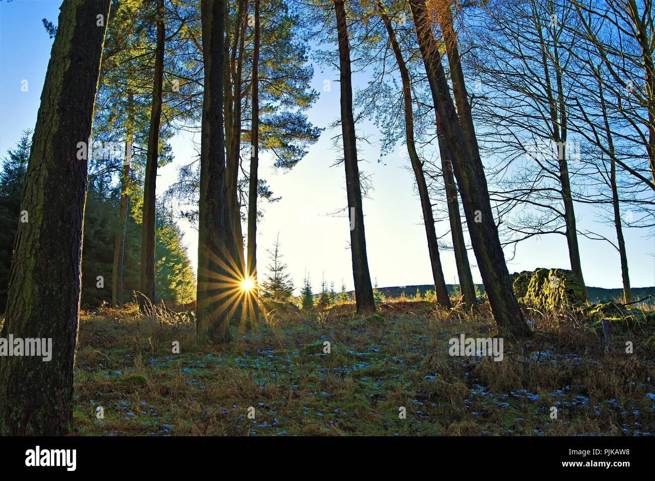 Wird der Irrlicht, in der Nähe von Win Hill Pike, Peak District, Derbyshire Stockfoto