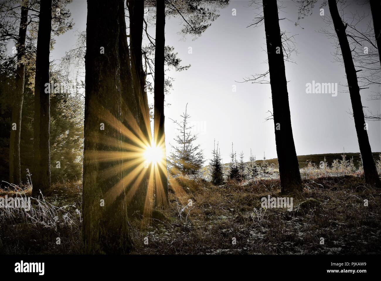 Wird der Irrlicht, in der Nähe von Win Hill Pike, Peak District, Derbyshire Stockfoto