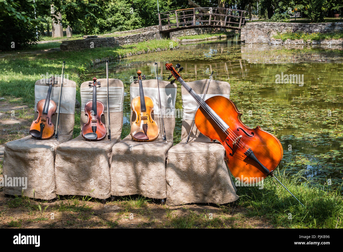 Musik und Natur Konzept. Saiteninstrumente, ein Cello und drei Violinen auf der zeremoniellen Stühle in der Natur, im Wald Holz- Brücke. Stockfoto