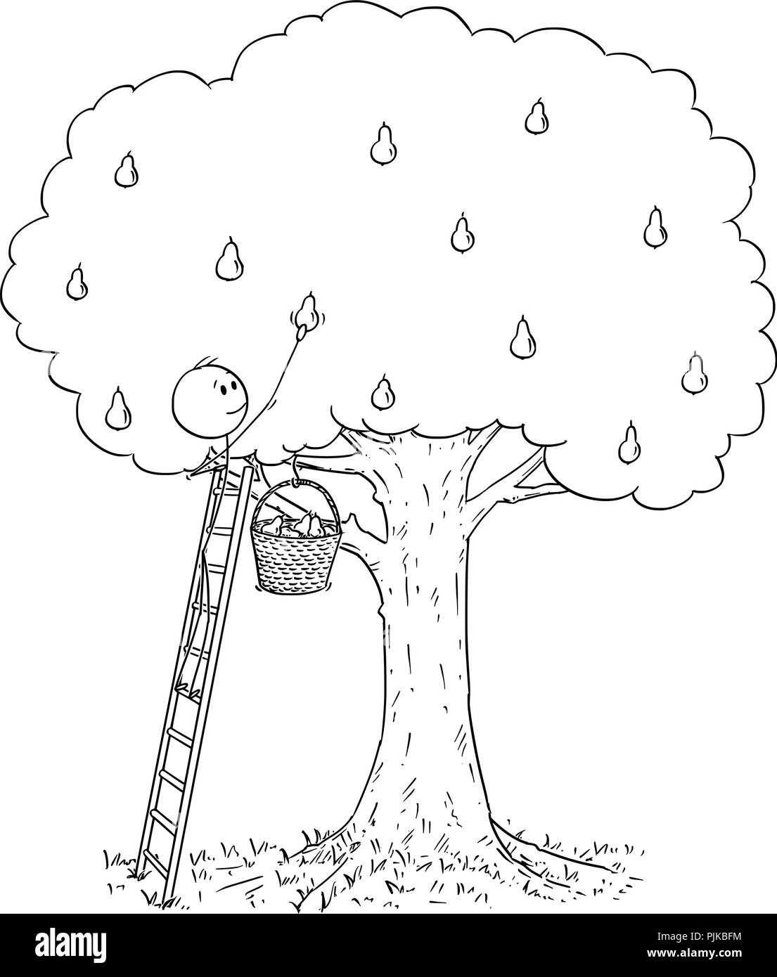 Cartoon von Mann auf Leiter Kommissionierung Obst aus Birnbaum Stock Vektor