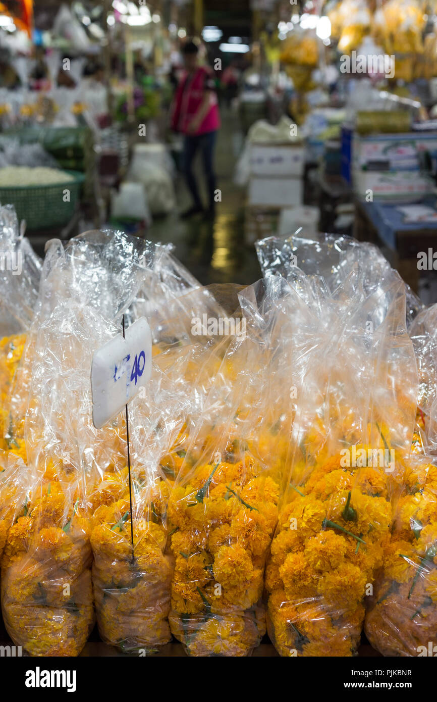 In der Nähe von Plastiktüten voller gelben Blütenköpfe für Verkauf an den Yodpiman Blumenmarkt (oder Bangkok Blumenmarkt, Pak Klong Talad) in Bangkok. Stockfoto