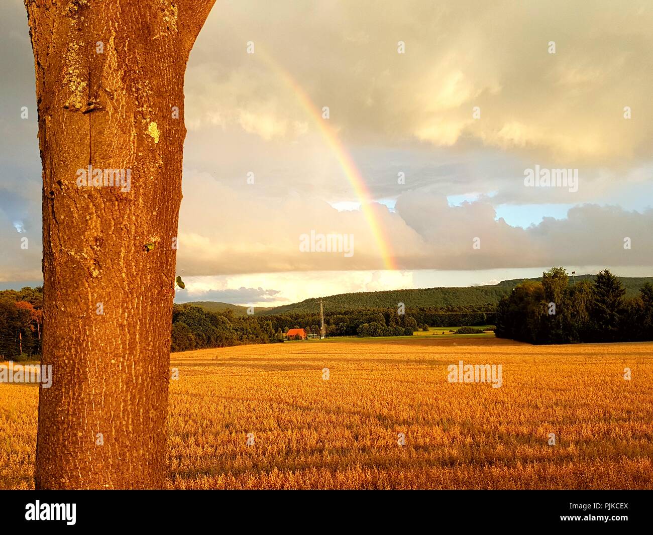 Regenbogen Stockfoto