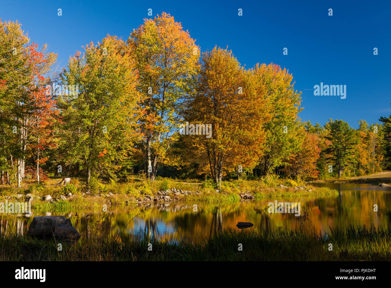 Herbstwald bin Mühlen Teich des Canterbury Shaker Village Stockfoto