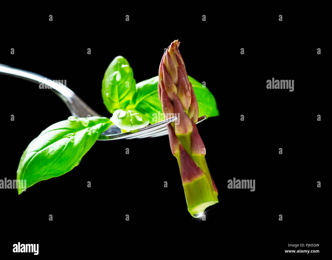 Grüner Spargel, Spargel Topping auf Gabel mit Basilikum Stockfoto