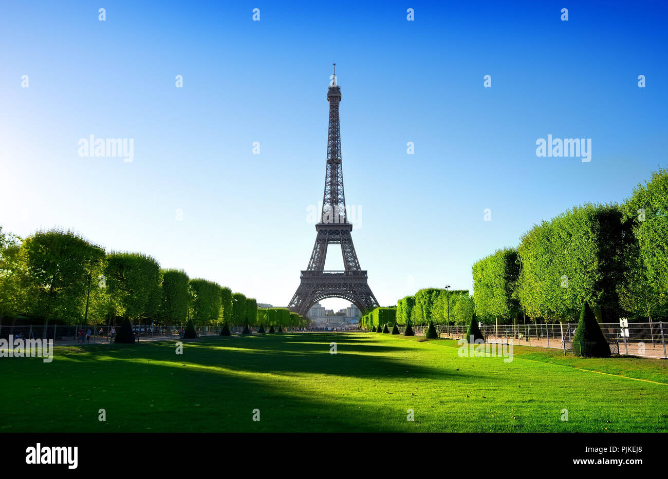 Eiffelturm-Blick vom Champ de Mars in Paris, Frankreich Stockfoto