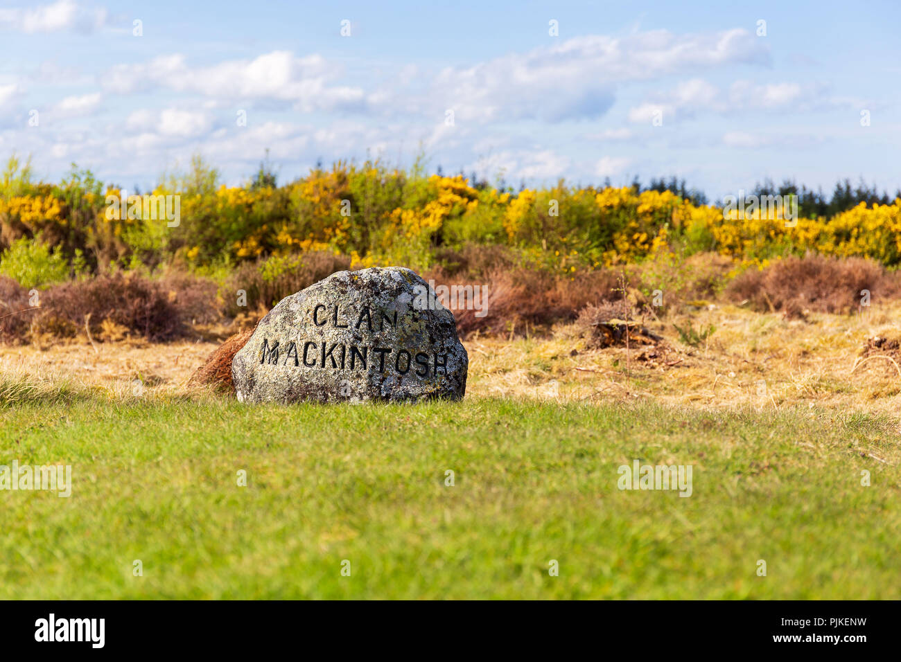 Clan Steine oder Grab Steine auf dem Schlachtfeld von Culloden in der Nähe von Inverness Stockfoto