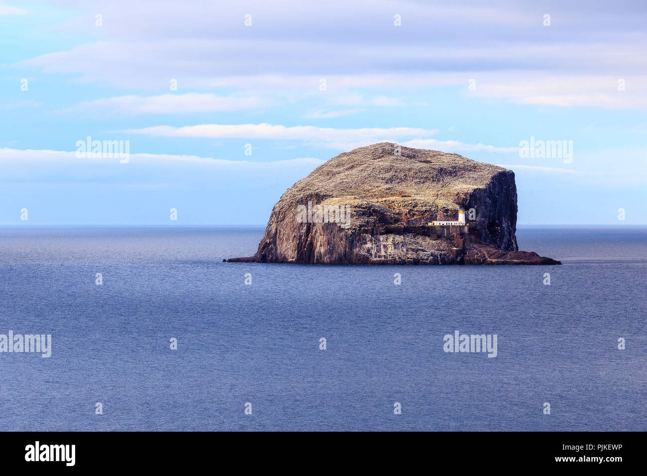 Bass Rock Leuchtturm in der Nähe von Auldharne, Schottland Stockfoto