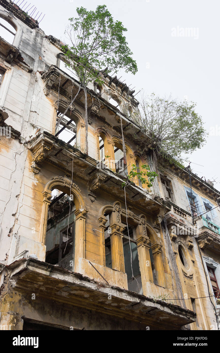 Kuba, Havanna, Distrikt Centro, Decay Stockfoto