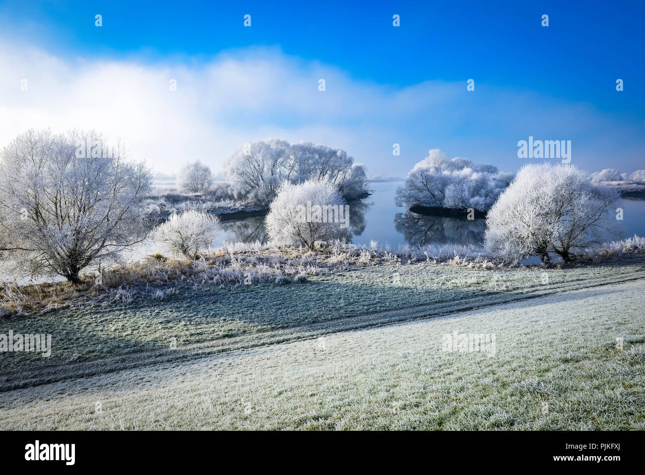Deutschland, Hamburg, Kirchwerder, winter Elbe Landschaft Stockfoto