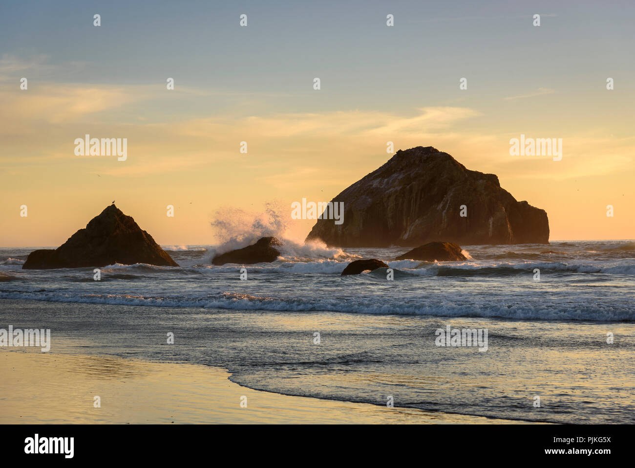 Face Rock am Bandon Strand an der südlichen Küste von Oregon. Stockfoto