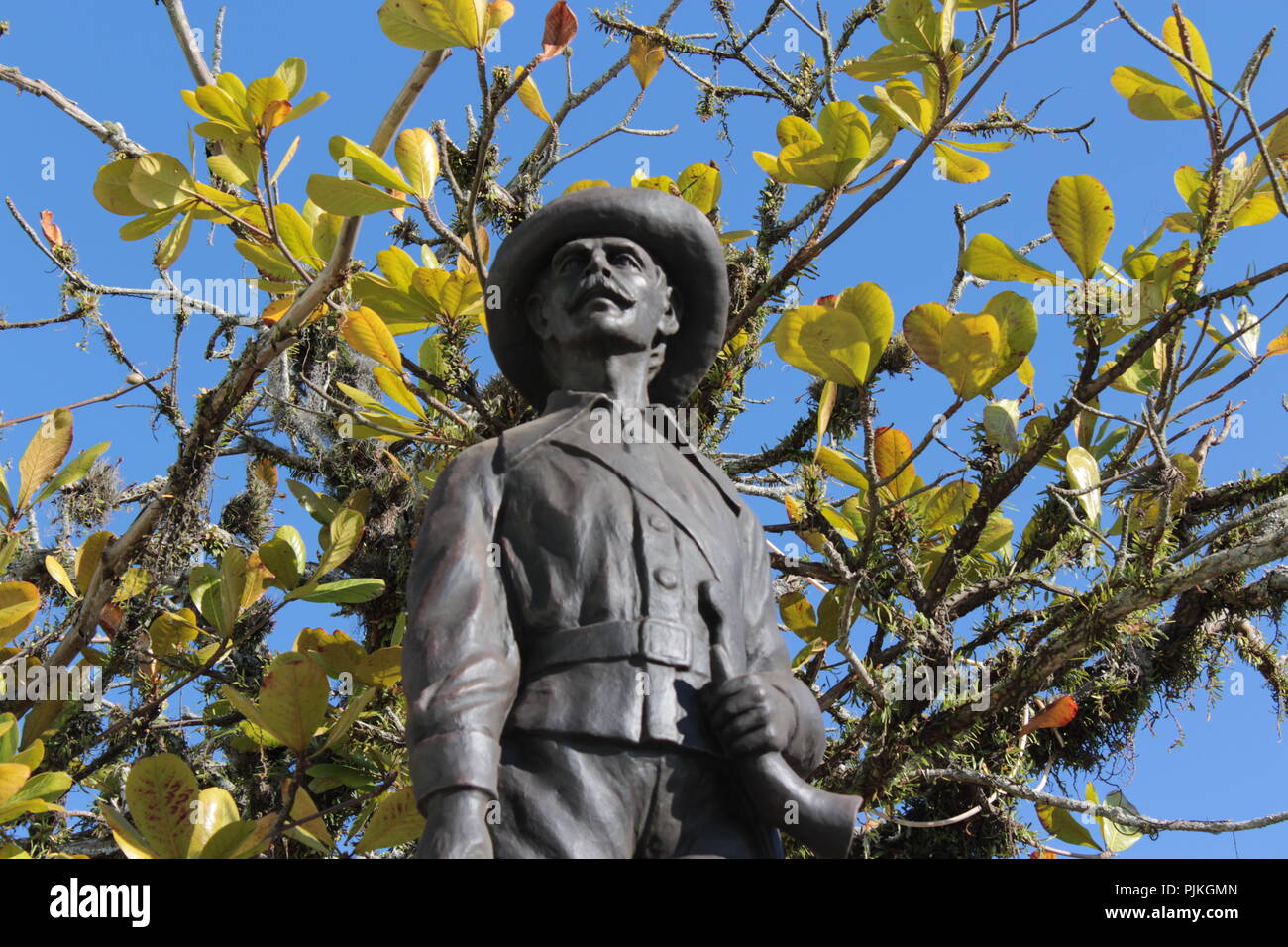 De brito Fotos und Bildmaterial in hoher Auflösung Alamy