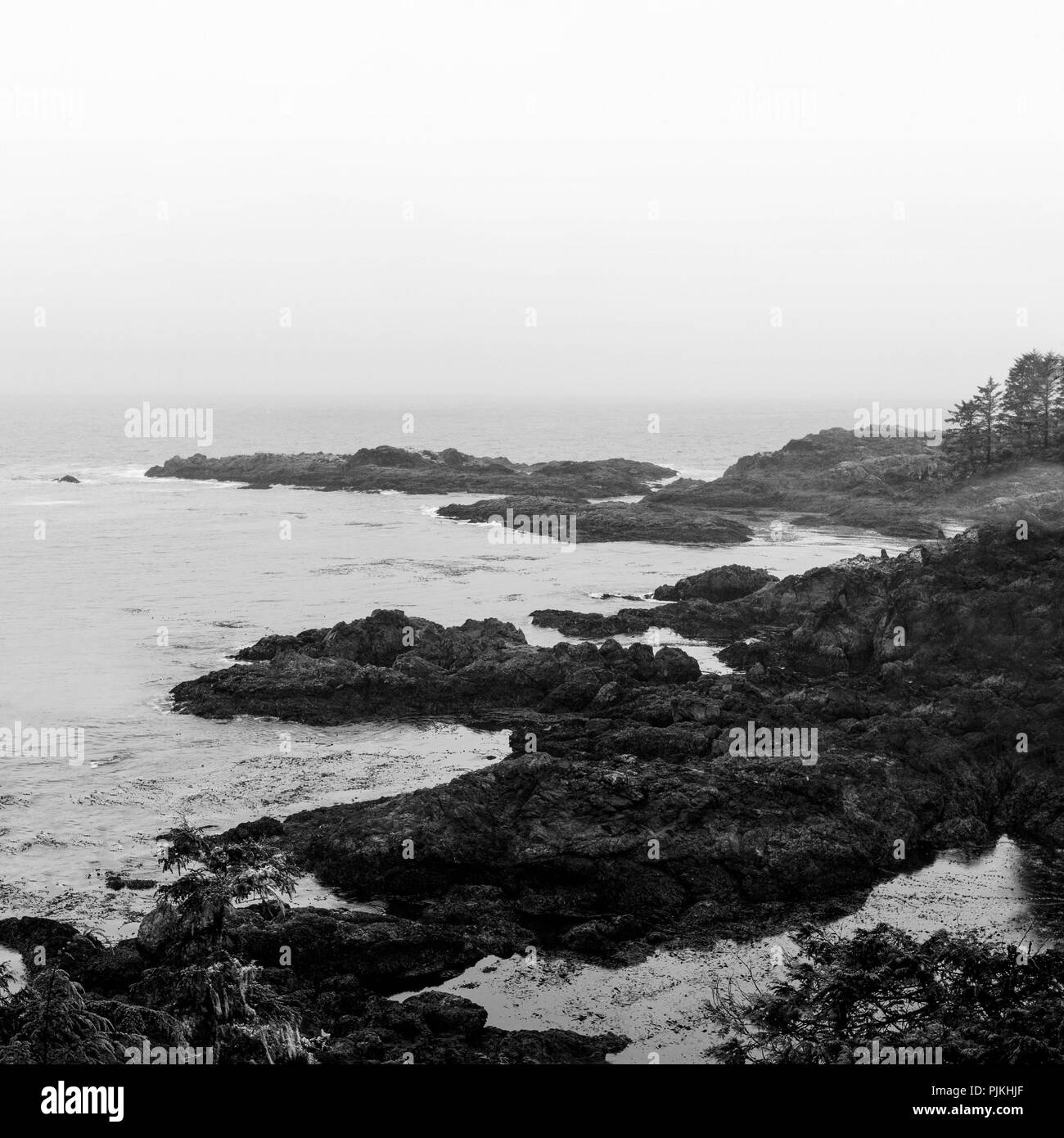 An der felsigen Küste, Pacific Northwest Coast, Vancouver Island, Kanada Stockfoto