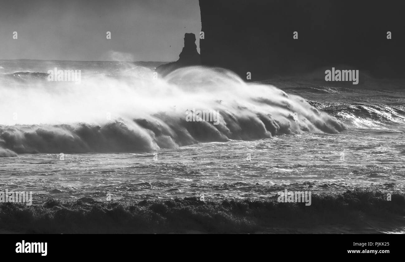 South Island, schwarze Klippen bei Vik, im stürmischen Meer, weiße Wellen Stockfoto