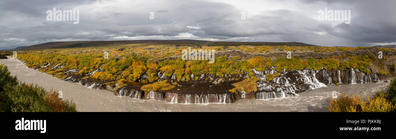 Island, Barnafoss, West Island, herbstliche Farben, trübe Stimmung, schmutzige Schmelzwasser, Stockfoto