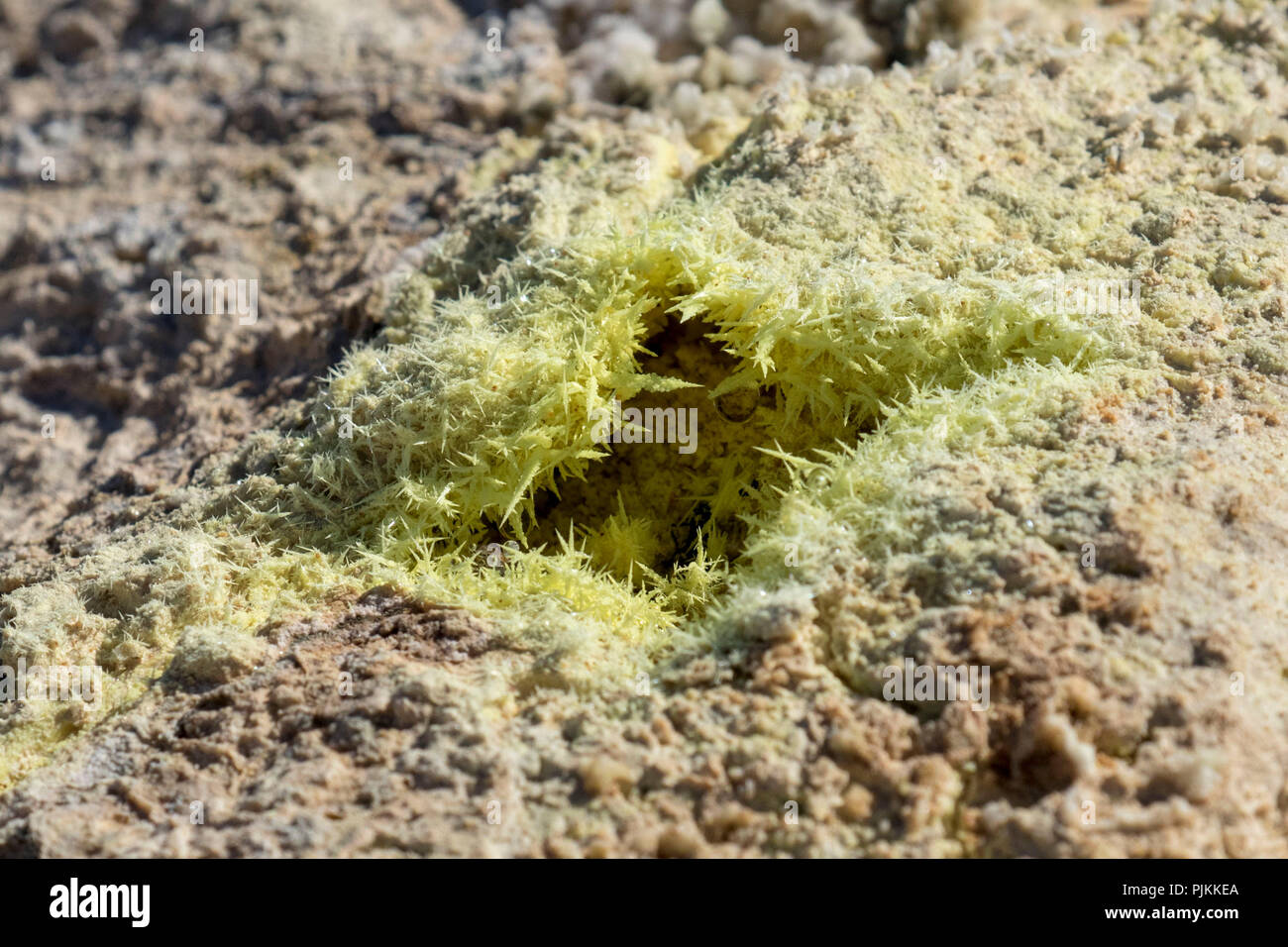 Island, Myvatn region, solfatara Feld Námaskarð, Schwefel Efflorezenz Stockfoto