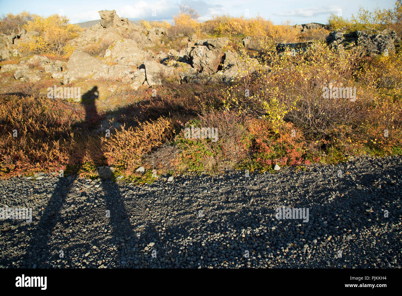 Island, Myvatn, menschliche Schatten auf den Straßenrand, lavafeld Dimmuborgir, herbstliches Laub, Zwerg Birken, Stockfoto