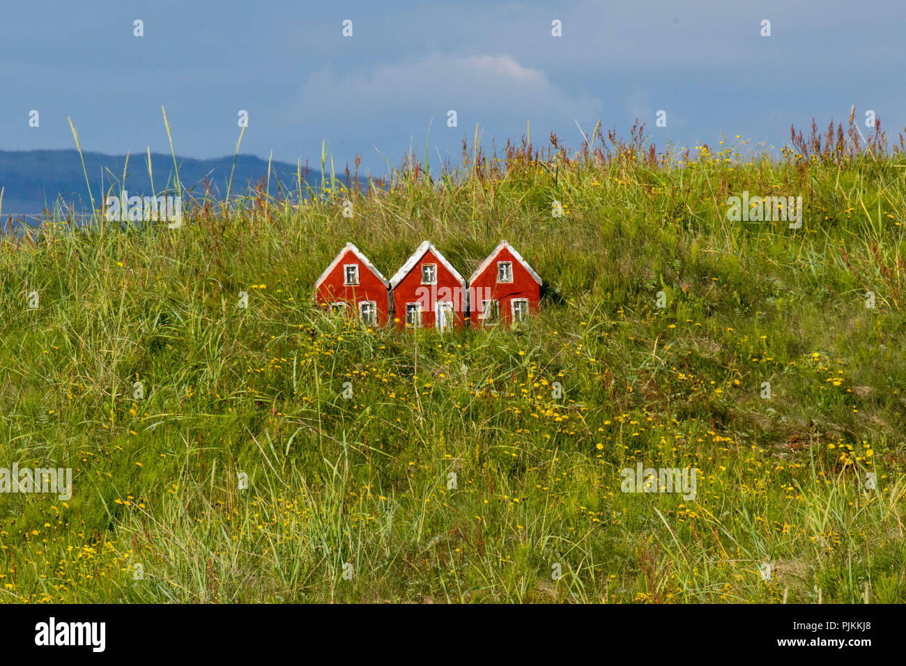 Island, elf Cottage im hohen Gras, magische Island, Stockfoto