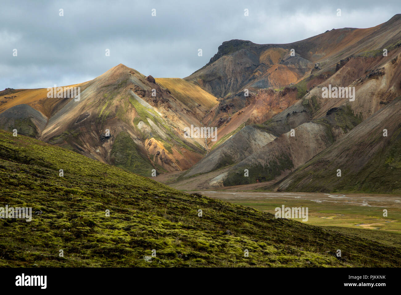 Island, Landmannalaugar, rhyolith Bergen, grünen Moos vor farbigen Berge, Licht Stimmung Stockfoto