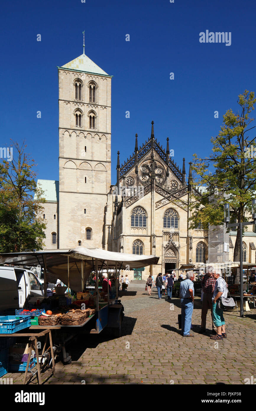 St. Paulus Dom, Domplatz, Münster in Westfalen, Nordrhein-Westfalen, Deutschland Stockfoto